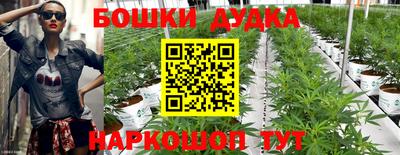 гашиш Славгород