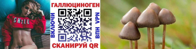 Псилоцибиновые грибы Psilocybe  Фролово 