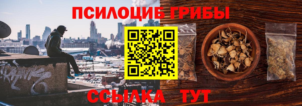 Псилоцибиновые грибы Psilocybine cubensis  Галлюциногенные грибы мицелий  цена наркотик  Вход с VPN  Фролово 