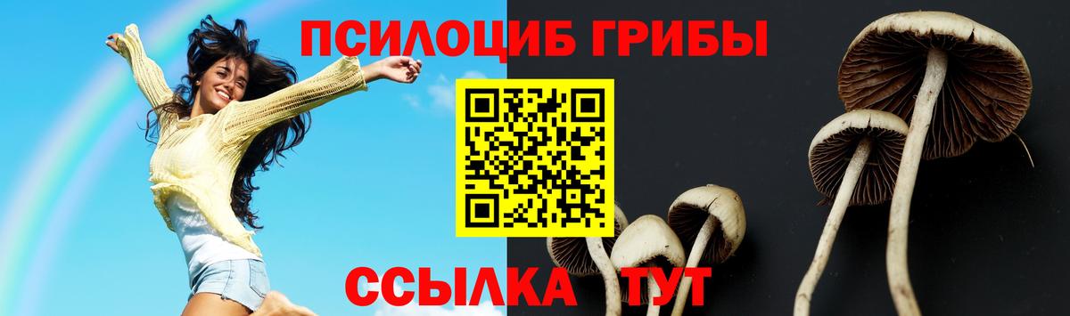 Галлюциногенные грибы Magic Shrooms Фролово